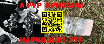скорость Кингисепп