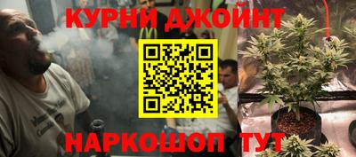 трава Камышлов
